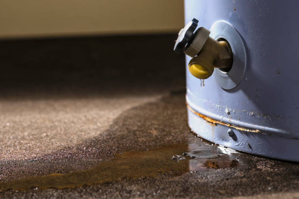 Best Sewage cleanup and water damage restoration  in White Hall, AR