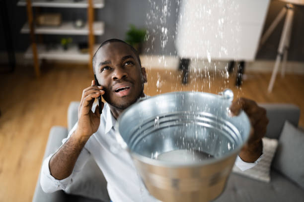 Best Water damage restoration near me  in White Hall, AR