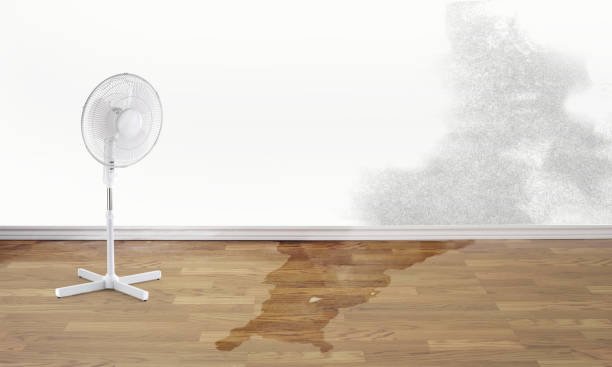 Water damage restoration experts in AR