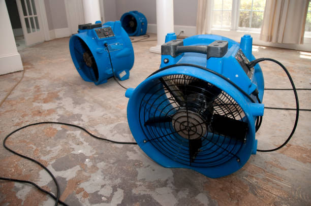 Best Carpet water damage restoration  in White Hall, AR