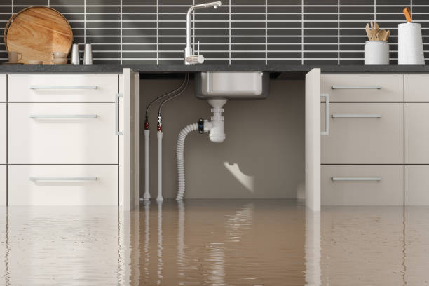 Best Local water damage restoration  in White Hall, AR