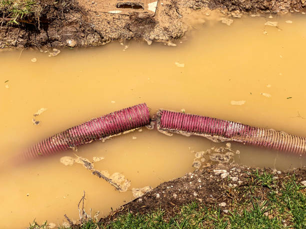 Best Basement water damage restoration  in White Hall, AR